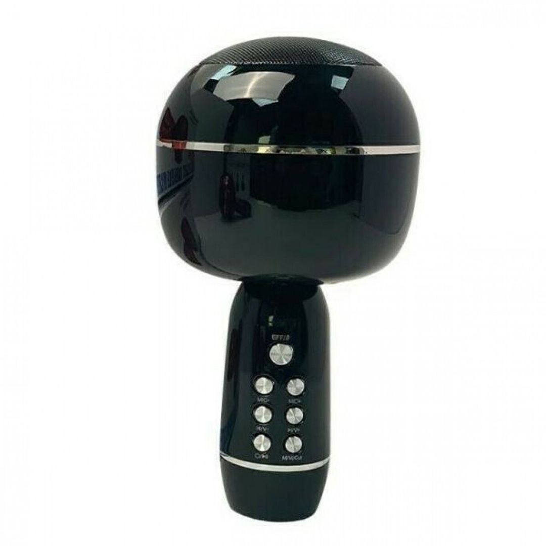 Ηχείο με λειτουργία Karaoke YS-09 σε Μαύρο Χρώμα