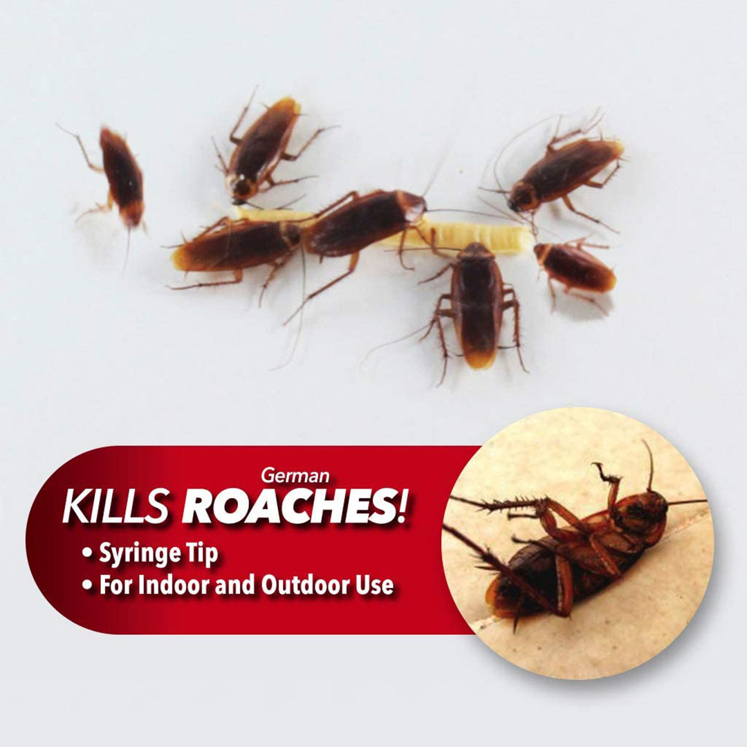 Γέλη εξόντωσης κατσαρίδων Roach Doctor