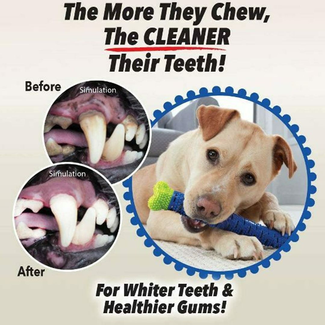 Παιχνίδι οδοντόβουρτσα αυτοβουρτσίσματος για σκύλους 3πλής δράσης