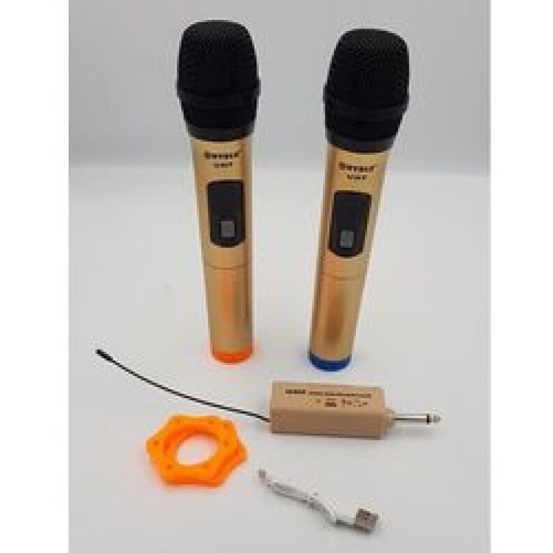 Σύστημα Karaoke με Ασύρματα Μικρόφωνα WG-200II σε Χρυσό Χρώμα