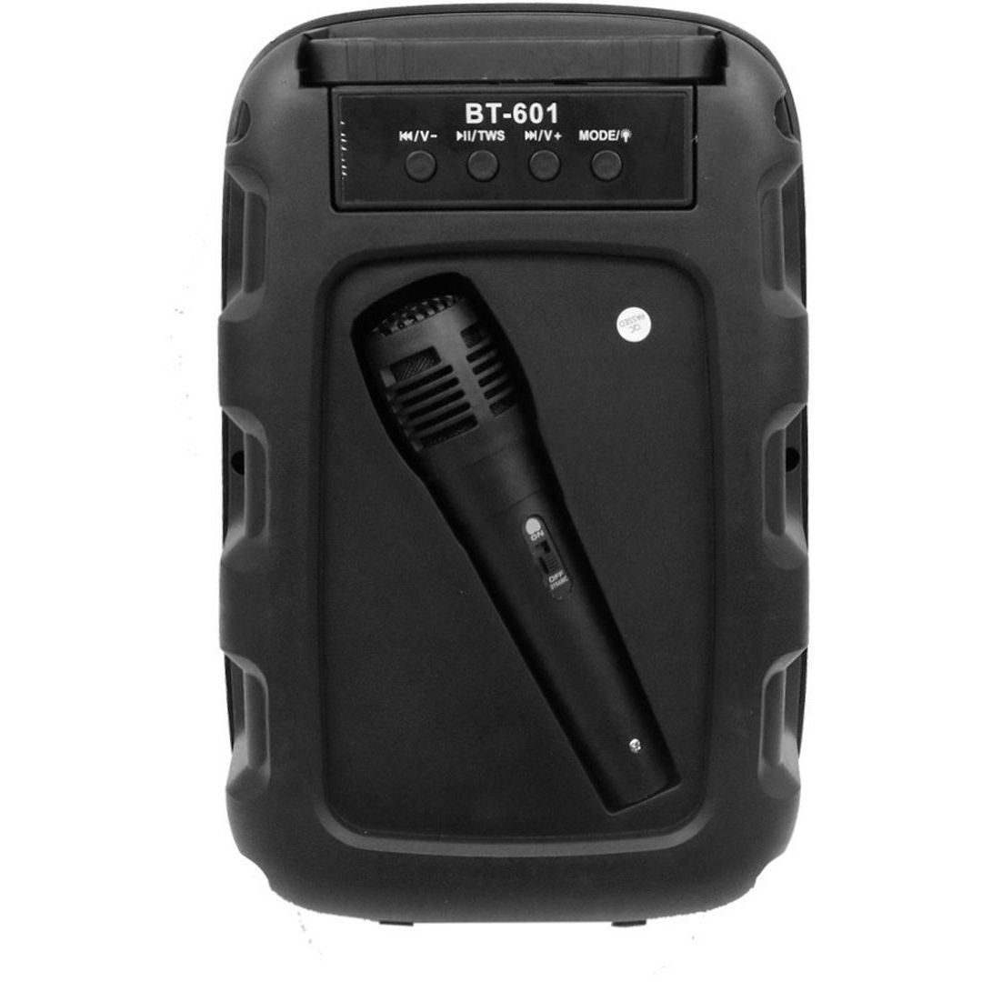 Bt-601 Ηχείο Bluetooth 15W με Ραδιόφωνο Μαύρο