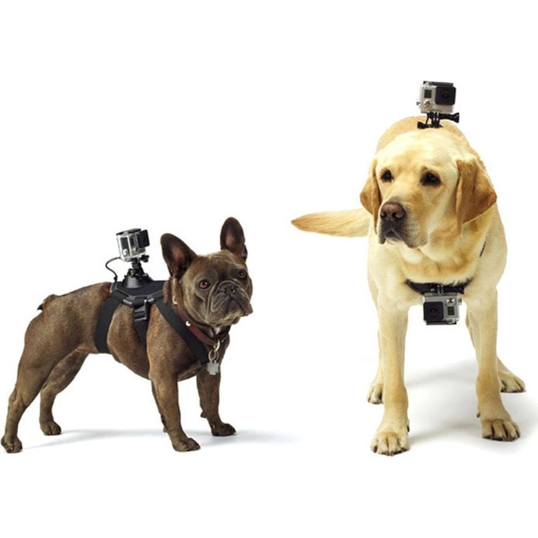 Puluz PU156 Ιμάντας Στήριξης σε Σκύλους με Δυο Βάσεις για τις Action Cameras
