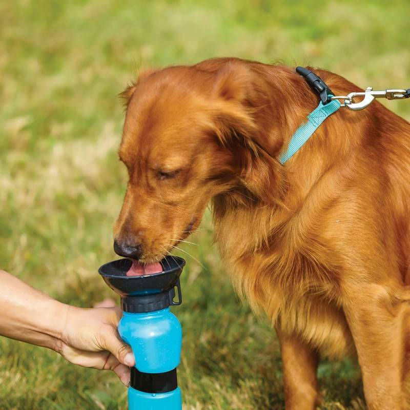 Aqua Dog Πλαστικό Μπουκάλι Νερού για Σκύλο σε Μπλε χρώμα 500ml
